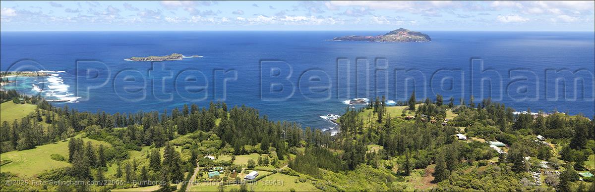 Peter Bellingham Photography Bumboras - Norfolk Island (PBH4 00 18963)